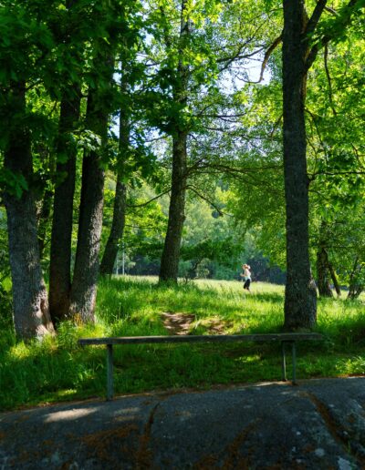 Bøkeskogen Larvik