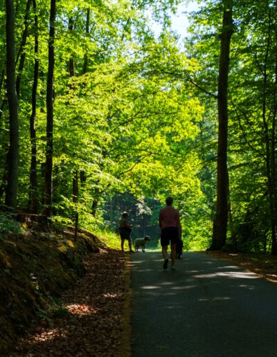 Bøkeskogen Larvik